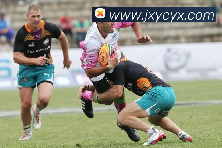 数据防护可视化